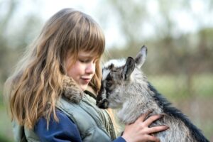 Violenza sugli animali.