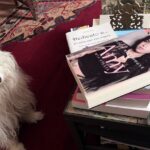 Libro di Amy Winehouse.