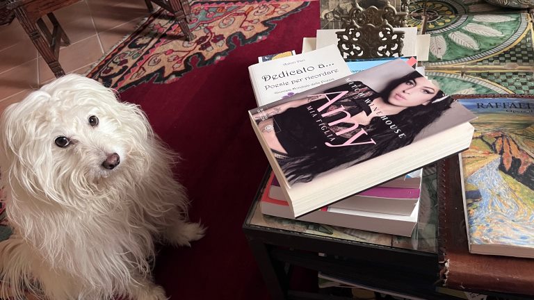 Libro di Amy Winehouse.