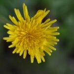 Arti e Psichiatria, Foto-poesia Tavormina -Essenza.