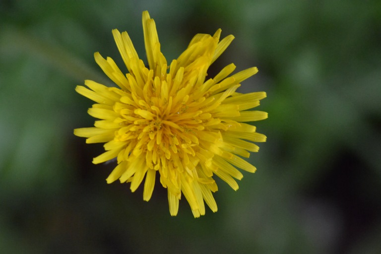 Arti e Psichiatria, Foto-poesia Tavormina -Essenza.
