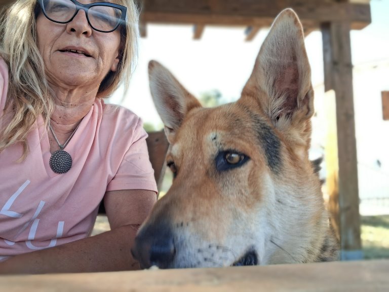 La relazione uomo e cane.
